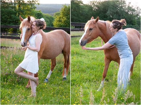 sex mit einem pferd|Pferde beim decken mit einer menschlichen frau